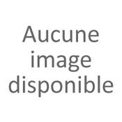 Tampon Colop Dateur S 220 - Dateur réglable